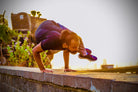 Kosha Yoga Classroom Anand Srivastava