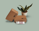 Kosha Yoga Co Yoga Kit Blocks Eye Pillow Strap Belt