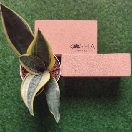 Yoga Blocks Bricks By Kosha Yoga Co. India Non Slip Sweat Absorbent Eco-friendly