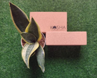 Yoga Blocks Bricks By Kosha Yoga Co. India Non Slip Sweat Absorbent Eco-friendly