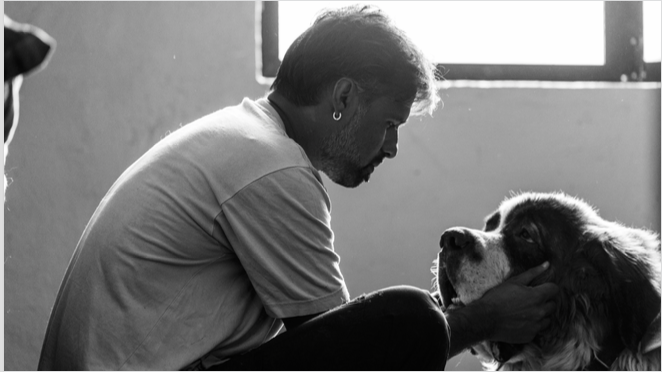Kosha Yoga Co Sustainability Giving Back Kalote Animal Trust