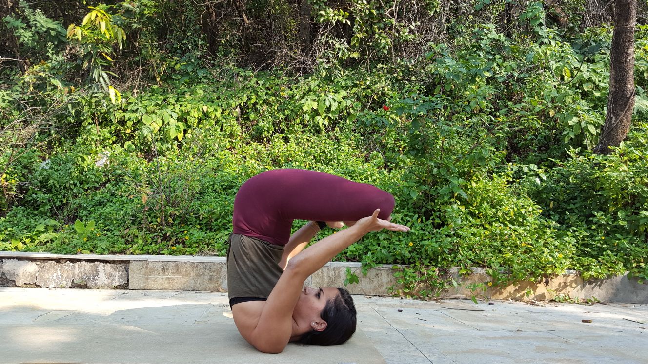 Kosha Yoga Co. Classroom Lilya